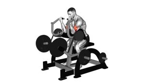 Read more about the article Lever Preacher Curl (Plate-Loaded)