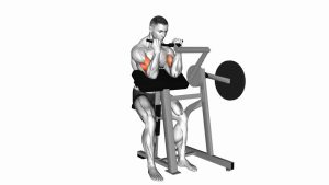 Read more about the article Lever Preacher Curl (Plate-Loaded)