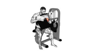 Read more about the article Lever Preacher Curl (Turned Torso)