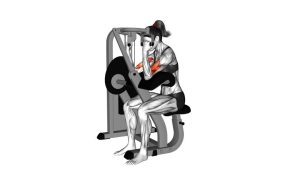 Read more about the article Lever Preacher Curl (Plate-Loaded)