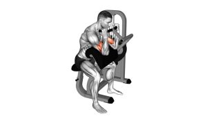 Read more about the article Lever Preacher Curl