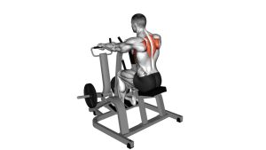 Read more about the article Lever Pronated Grip Seated Scapular Retraction Shrug