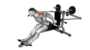 Read more about the article Lever Seated Bent-Over Rear Delt Fly