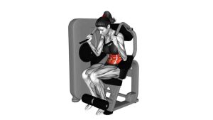 Read more about the article Lever Seated Crunch
