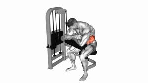 Read more about the article Lever Seated Crunch (Hands Pad)