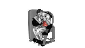 Read more about the article Lever Seated Crunch
