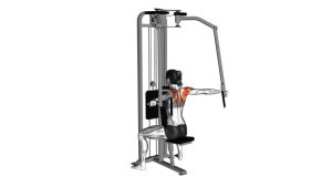 Read more about the article Lever Seated Neutral-Grip Reverse Fly