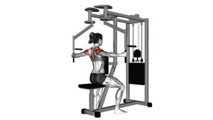 Read more about the article Lever Seated Reverse Fly