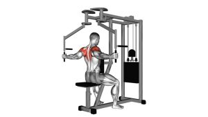 Read more about the article Lever Seated Reverse Fly (Parallel Grip)