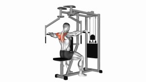 Read more about the article Lever Seated Reverse Fly