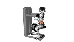 Read more about the article Lever Seated Twist