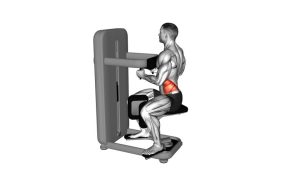 Read more about the article Lever Seated Twist