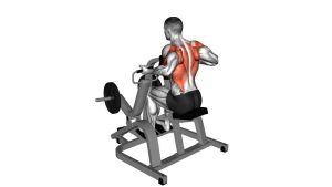 Read more about the article Lever Supinated Grip Seated Row