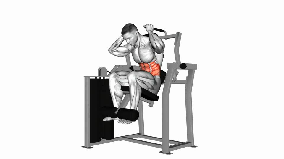Mp Crunch Lever Total Abdominal Crunch - ManiacMuscle