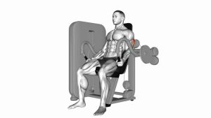 Read more about the article Lever Triceps Extension