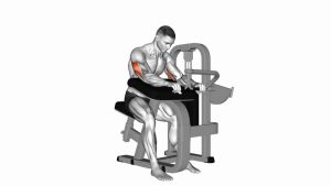 Read more about the article Lever Triceps Extension