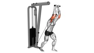 Read more about the article Cable Overhead Triceps Extension (Straight Bar)