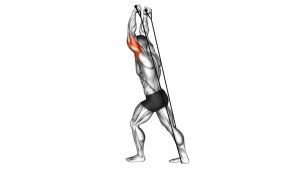 Read more about the article Band Overhead Triceps Extension