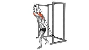 Read more about the article Band Overhead Triceps Extension