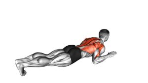 Read more about the article Lying Lat Pulldown