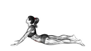 Read more about the article Lying (Prone) Abdominal Stretch