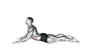 Read more about the article Lying Prone Abdominal Stretch