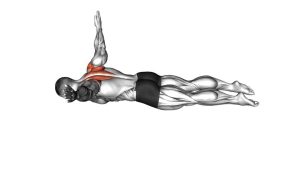 Read more about the article Prone T Raise