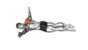 Read more about the article Prone W to T Raise