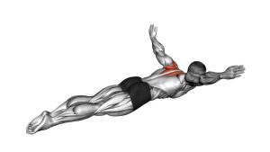 Read more about the article Lying Rear Lateral Raise