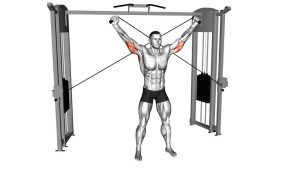 Read more about the article Cable High Triceps Extension