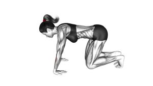 Read more about the article Kneeling Wrist Flexor Stretch