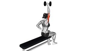 Read more about the article Dumbbell One-Arm Triceps Extension (On Bench)