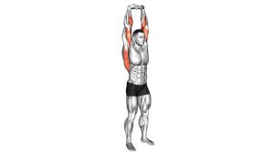 Read more about the article Vertical Overhead Triceps Extension