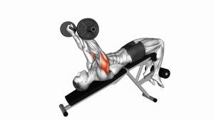 Read more about the article EZ-Barbell Decline Triceps Extension