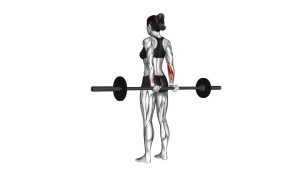 Read more about the article Barbell Standing Back Wrist Curl
