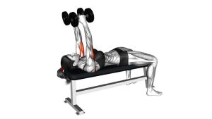 Read more about the article Dumbbell Lying Triceps Extension
