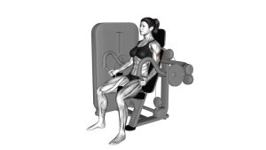 Read more about the article Lever Seated Triceps Extension