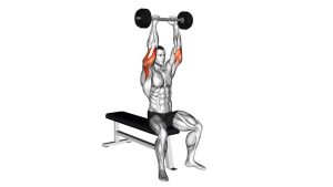 Read more about the article Olympic Barbell Triceps Extension