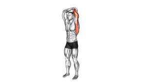 Read more about the article Overhead Triceps Stretch