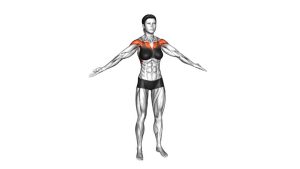 Read more about the article Palm-Up – Palm-Down Rotation