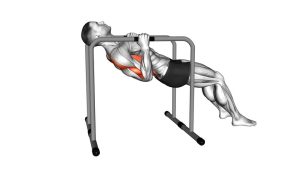Read more about the article Parallel Bars Bent-Knee Inverted Row