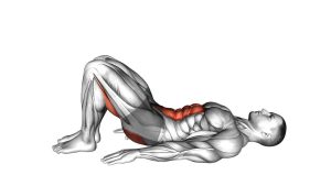 Read more about the article Pelvic Tilt
