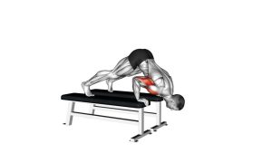 Read more about the article Pike Push-Up (Between Benches)