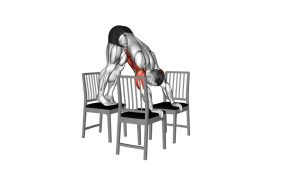 Read more about the article Pike Push-Up Between Chairs
