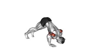 Read more about the article Chest-Biased Pike Push-Up