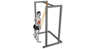 Read more about the article Resistance Band Triceps Pushdown