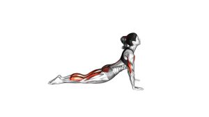 Read more about the article Prone Press Swan