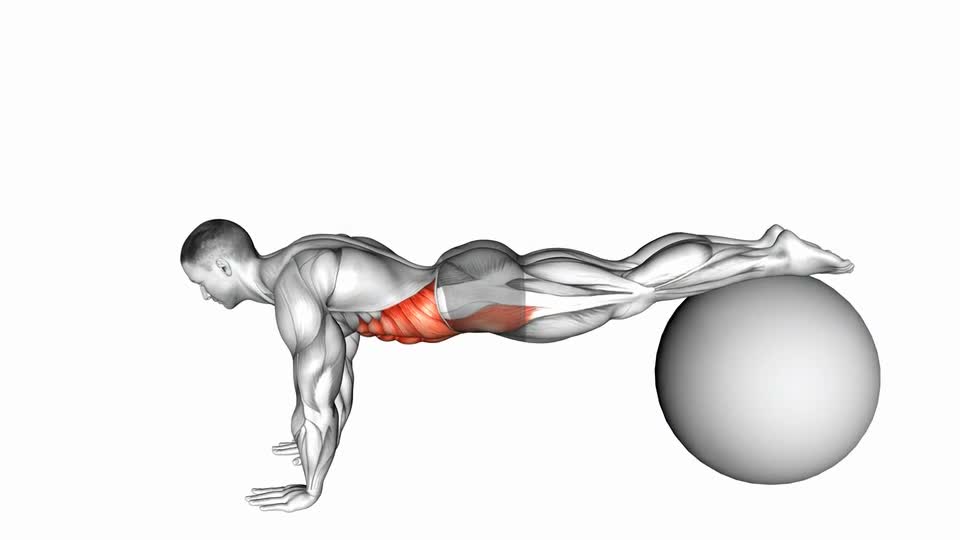 Stability Ball Pull In Pull-In (on Stability Ball) - ManiacMuscle