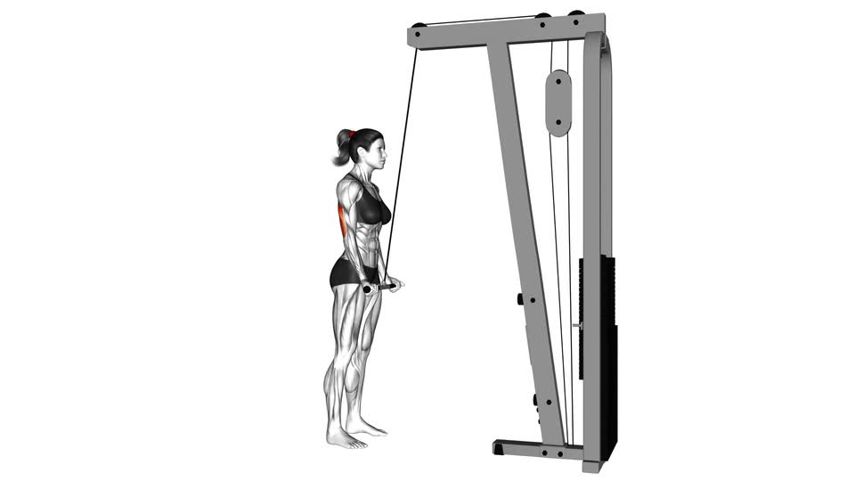 Cable Reverse-Grip Pushdown - ManiacMuscle