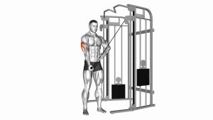 Read more about the article Cable One-Arm Side Triceps Pushdown